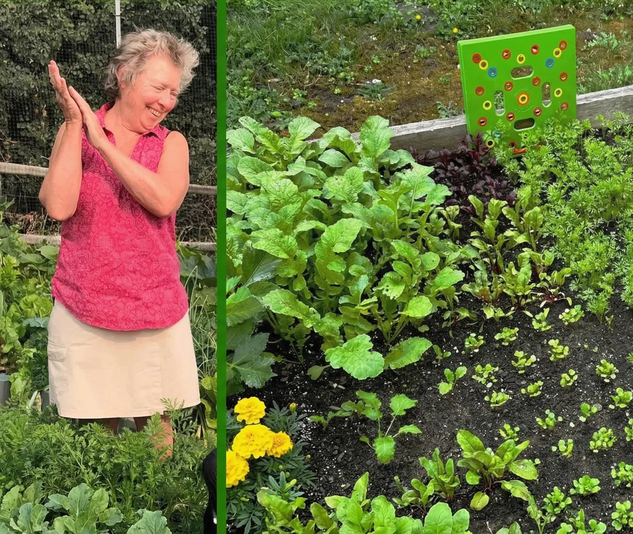 Gardener with Seeding Square