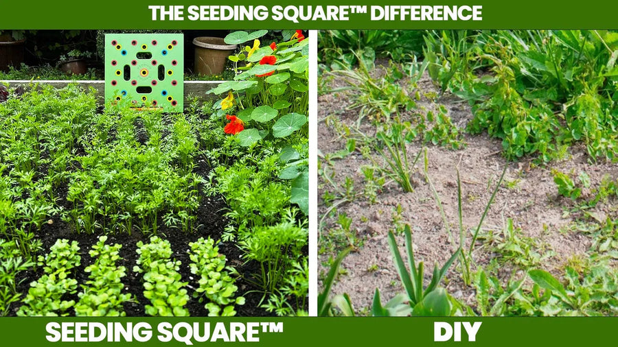 THE SEEDING SQUARE™ DIFFERENCE